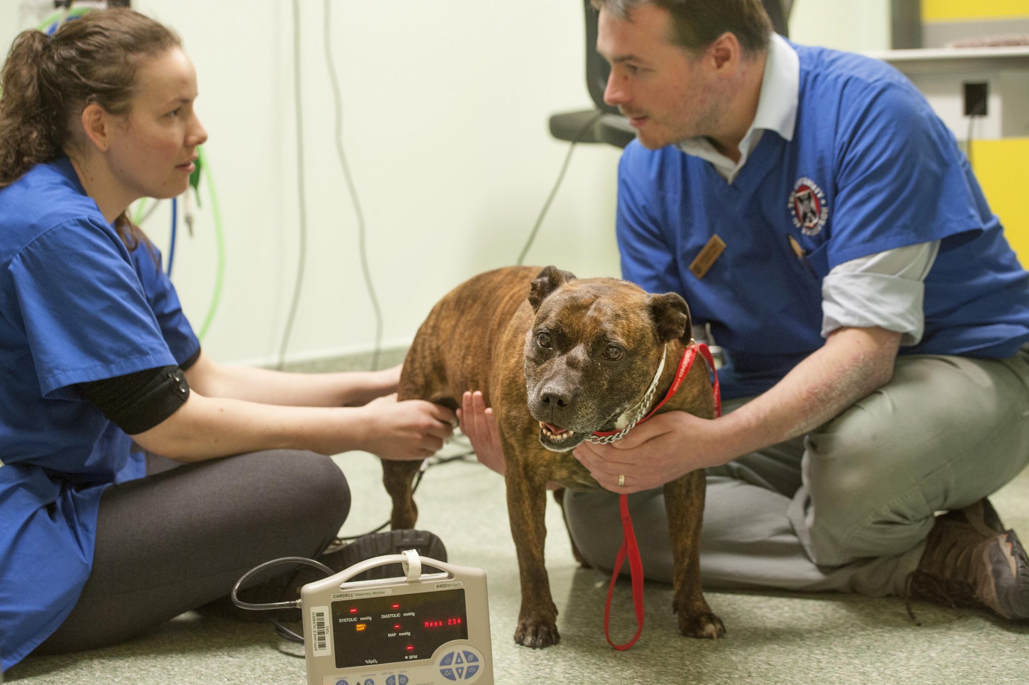 CasePALs From the Royal (Dick) School of Veterinary Studies